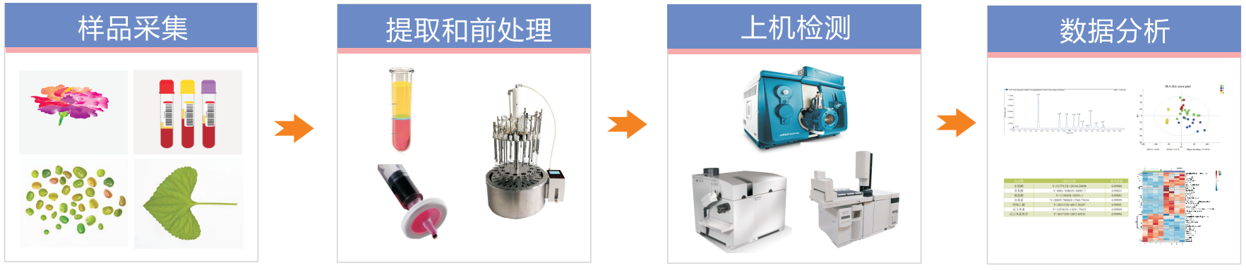 氨基酸定量检测