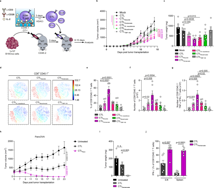 肿瘤治疗“黑马”登场！Nature子刊：100万亿肠道细菌打破CAR-T实体瘤魔咒