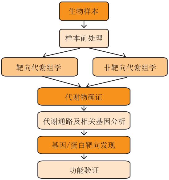 靶向与非靶向代谢组学解析