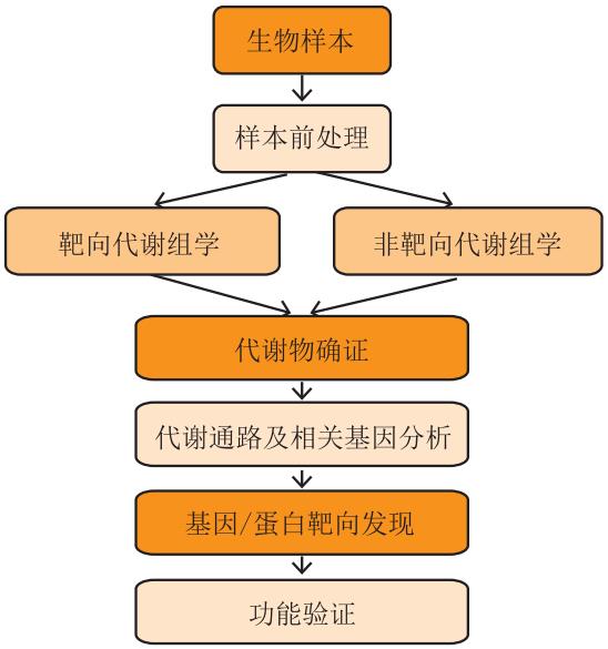 靶向与非靶向代谢组学解析