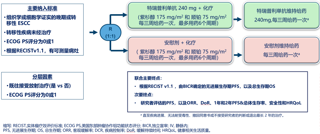 我国多中心团队实现食管癌免疫治疗新突破