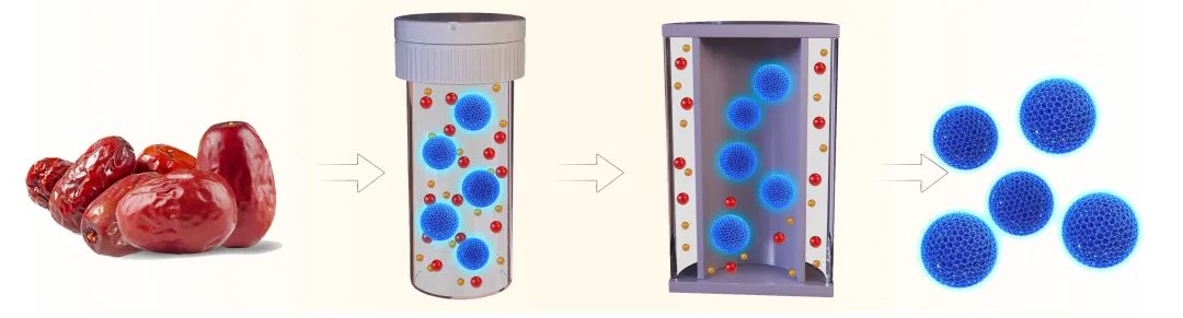 贫血吃大枣？郑州大学合作揭示大枣治疗贫血的分子机制