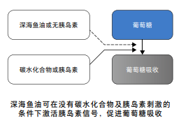 鱼油能护心血管降血压，但要控制每日摄入量